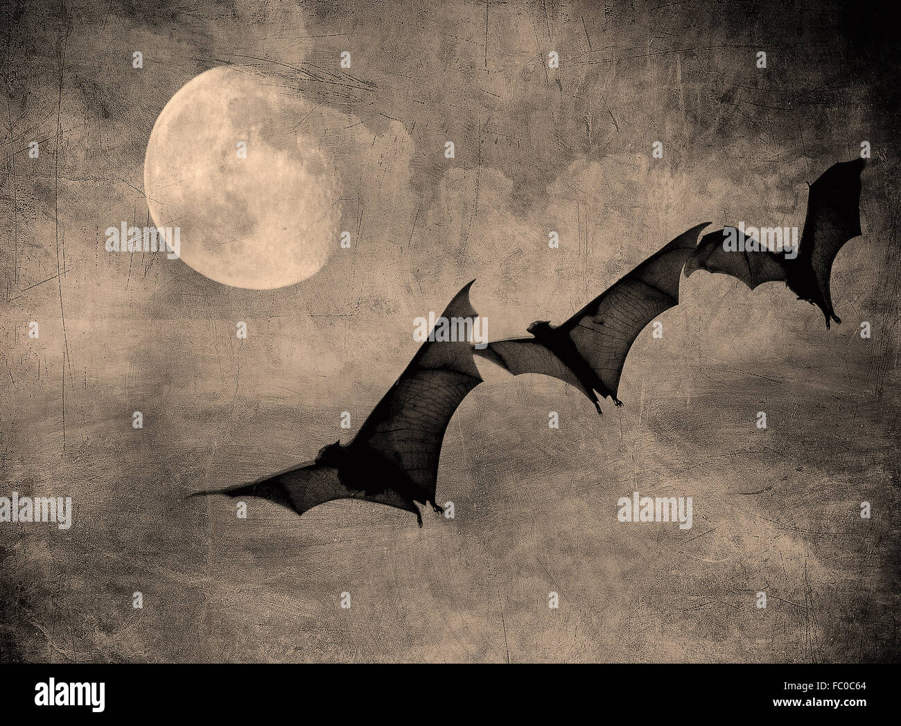 Fledermäuse in den dunklen bewölkten Himmel, perfekte Halloween-Hintergrund Stockfoto