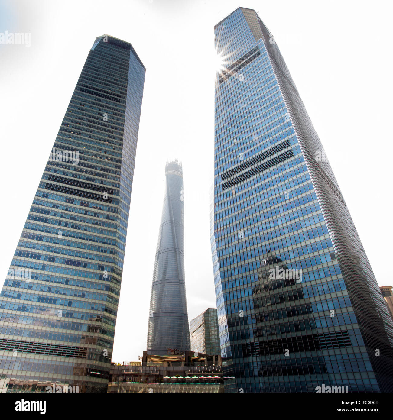 Shanghai tower Stockfoto