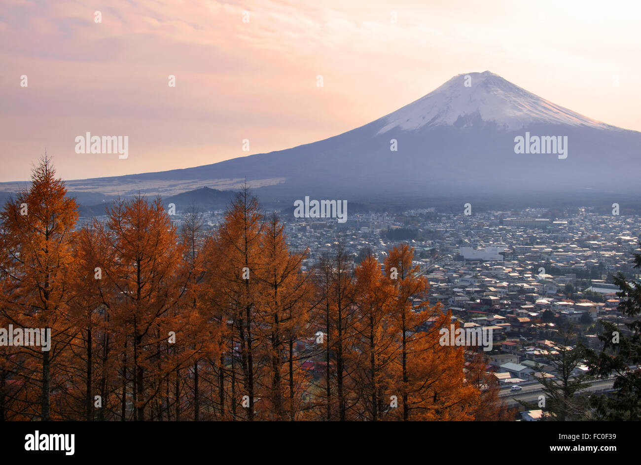 Mt. Fuji im Herbst, die Baum verwandeln seine Blattfarbe und die Fuji Yoshida-Stadt Stockfoto
