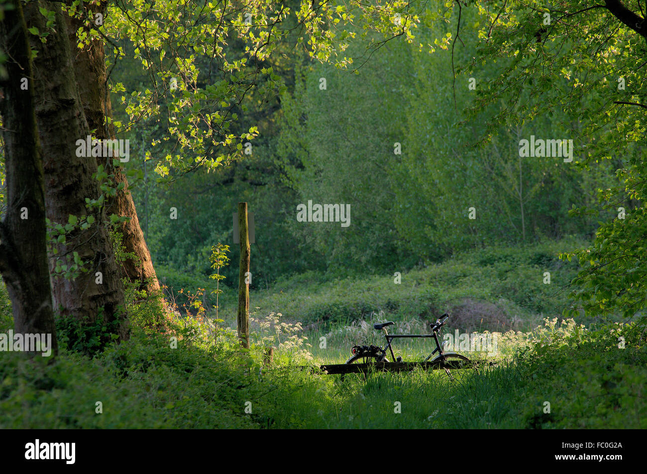 Naturerlebnis Stockfoto