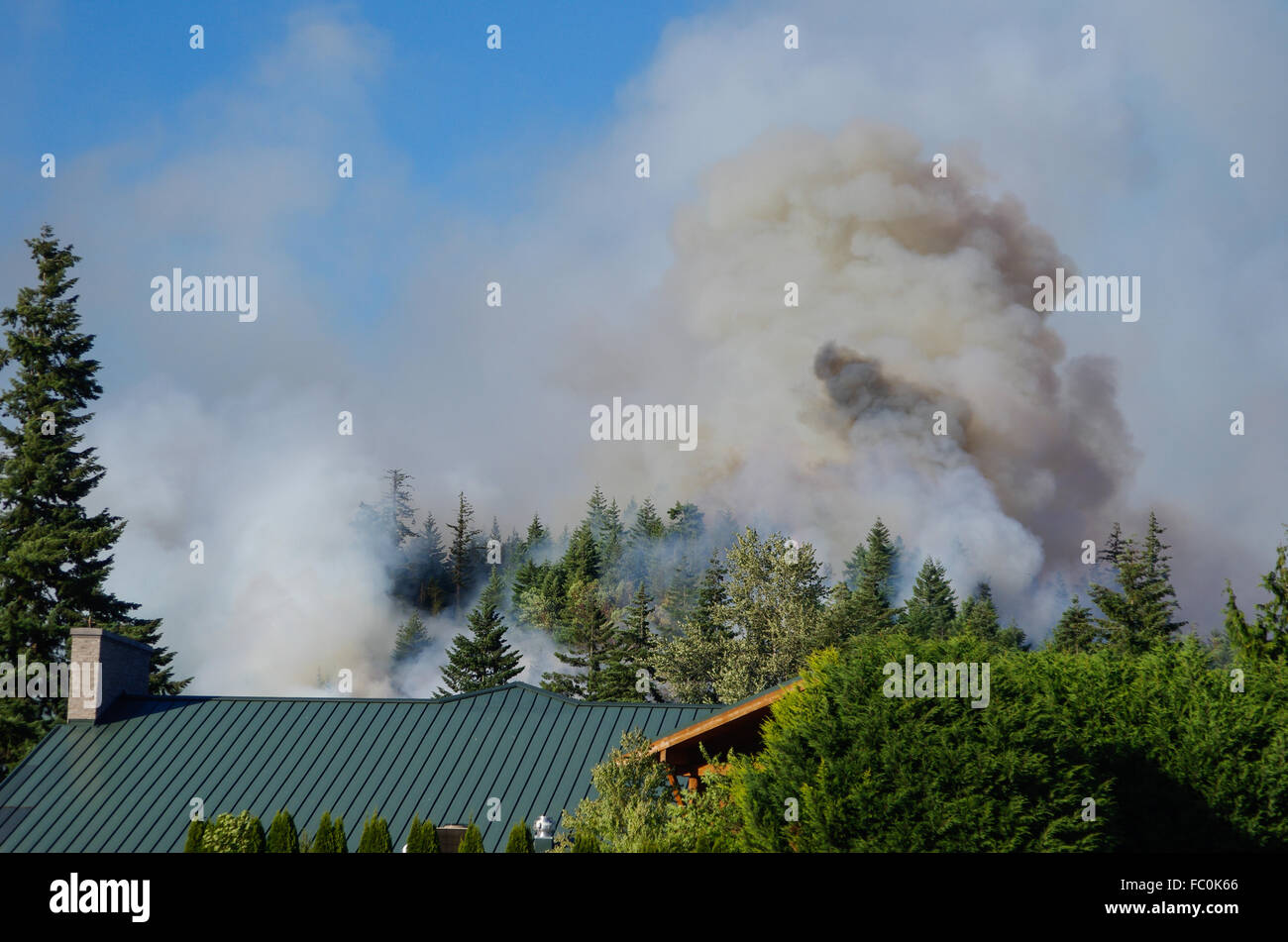 Rauch bricht aus einem schnell brennenden wilden Feuer in der Nähe von Little Creek Casino. Shelton, Washington, USA Stockfoto