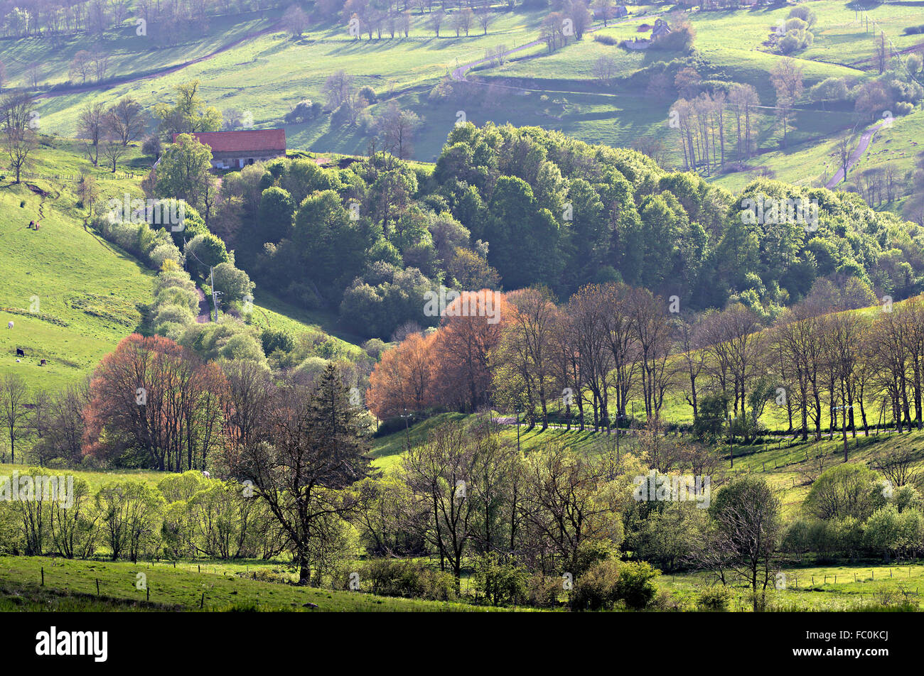 Landschaft in C├⌐zallier, Auvergne Stockfoto