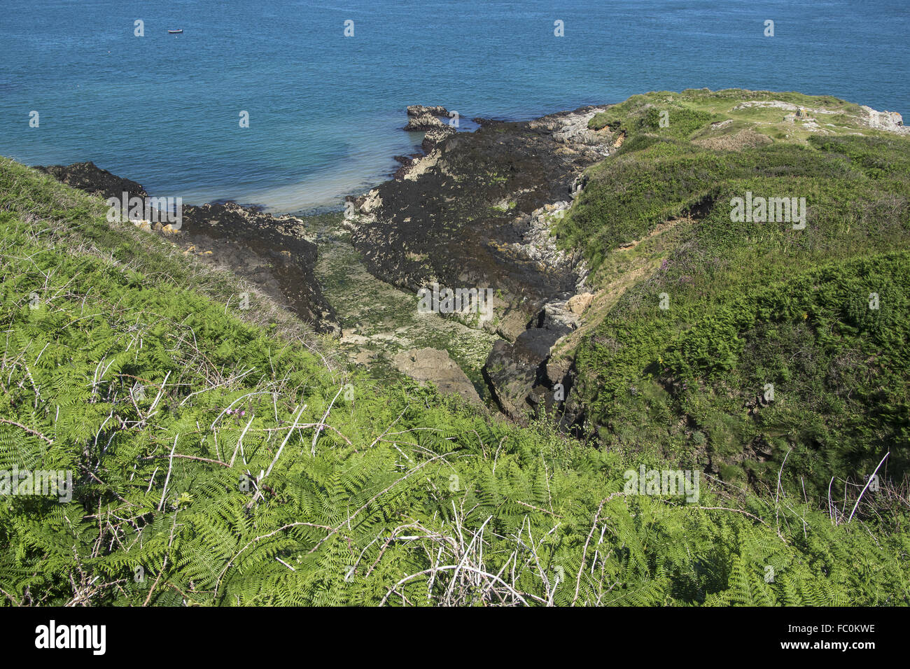 Einsamer Strand bei Ebbe Stockfoto