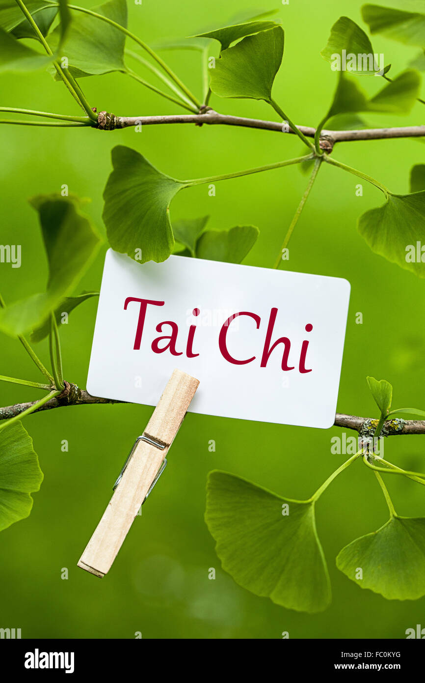 Das Wort "Tai Chi in ein Ginkgo-Baum Stockfoto