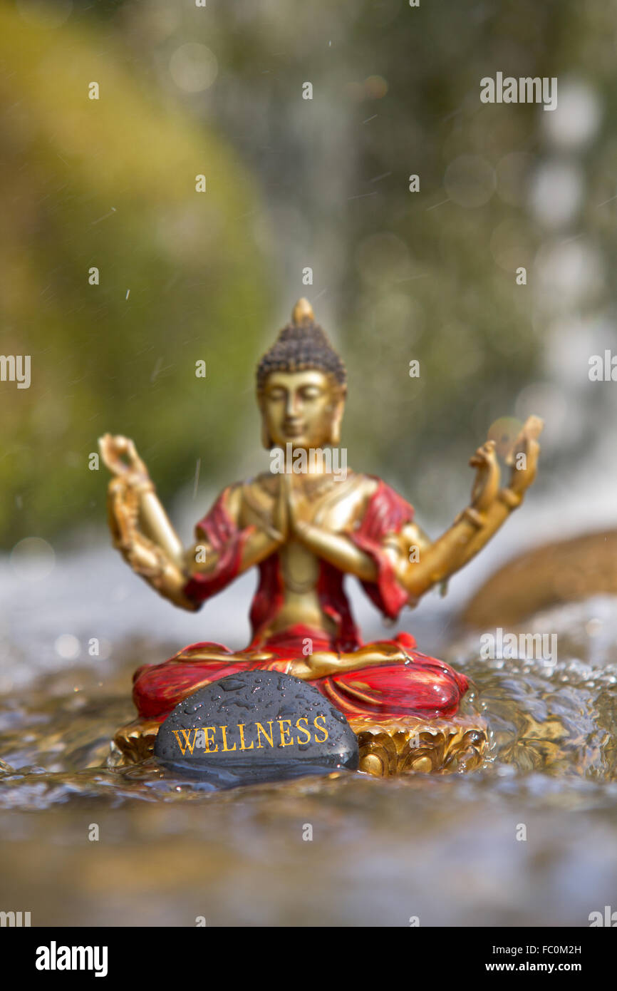 Buddha-Statue mit dem Wort "Wellness" Stockfoto