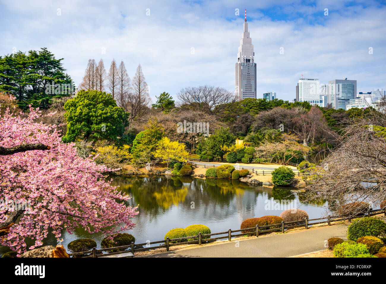Tokyo, Japan im Stadtteil Shinjuku während der Frühjahrssaison. Stockfoto