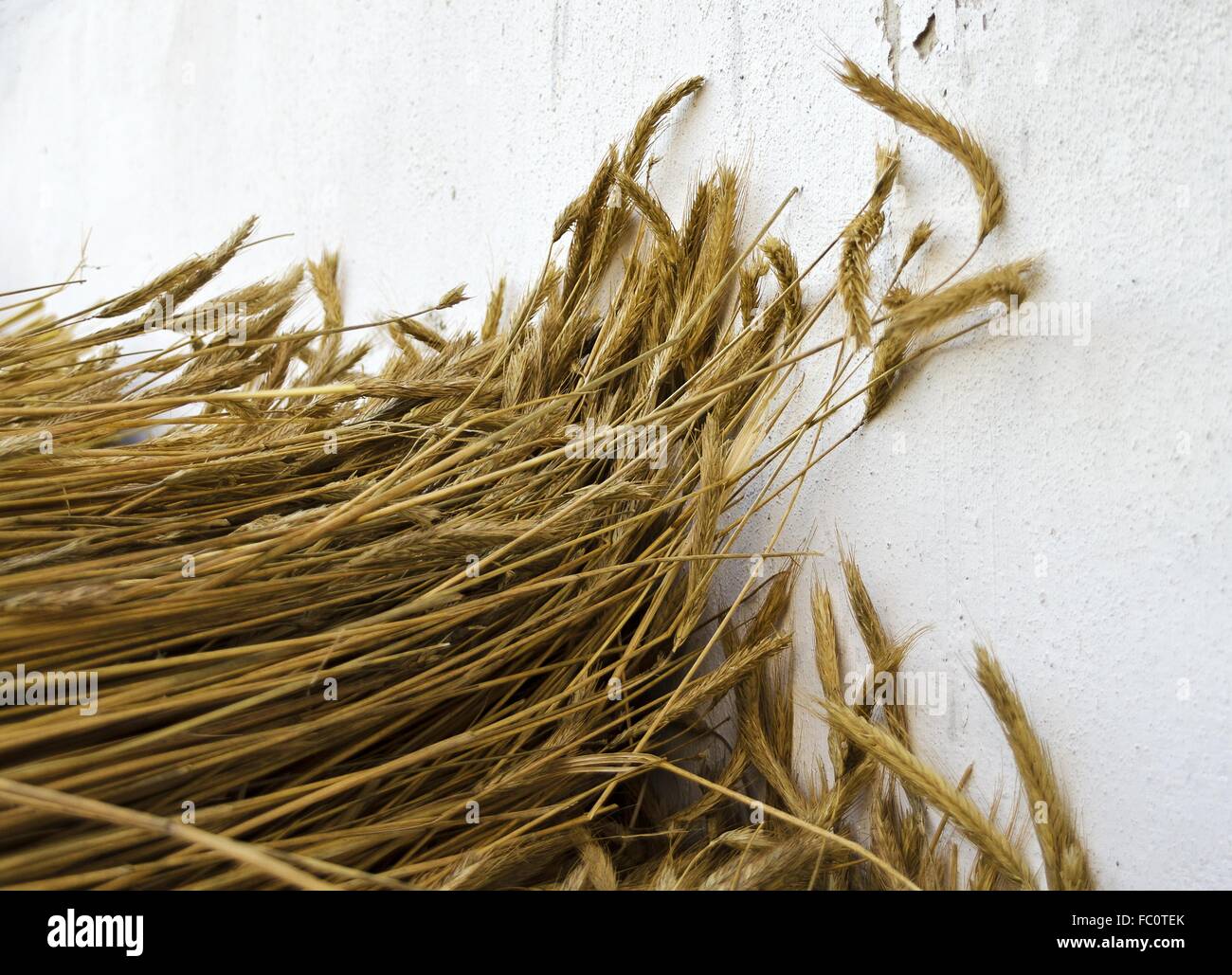 Getreidestroh, vorbereitet für Dächer Stockfoto