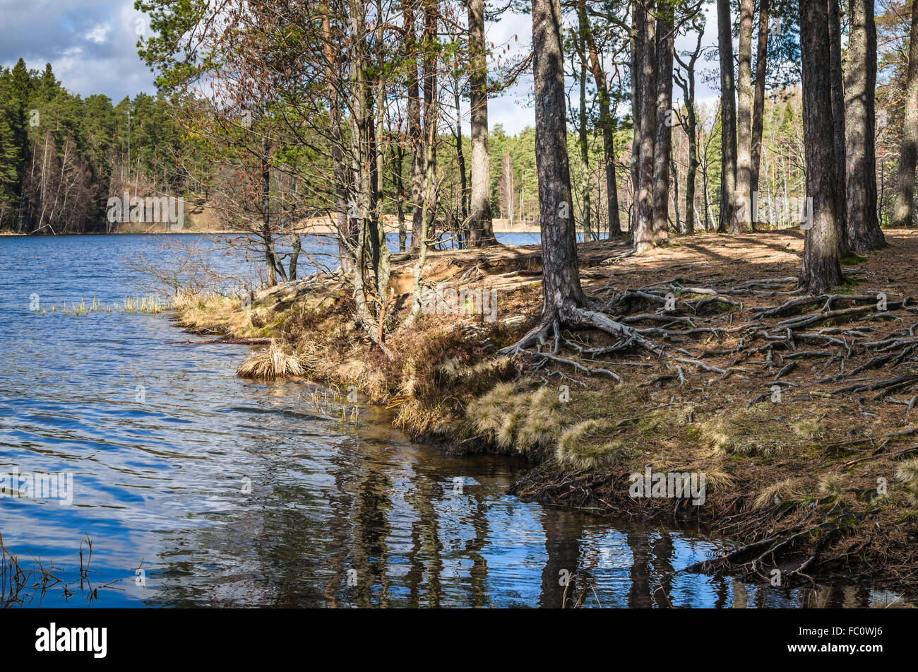 Frühlingslandschaft am hölzernen See Stockfoto