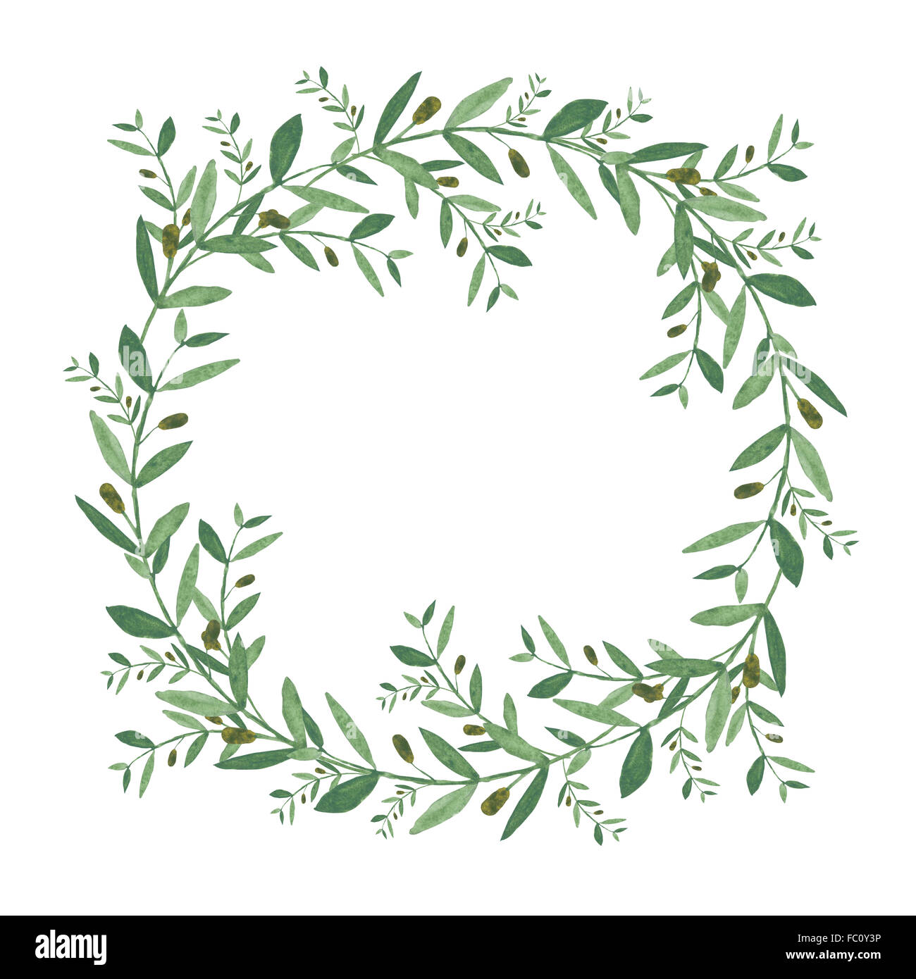 Aquarell Olive Kranz. Isolierte Darstellung auf weißem Hintergrund.  Biologische und natürliche Konzept Stockfotografie - Alamy
