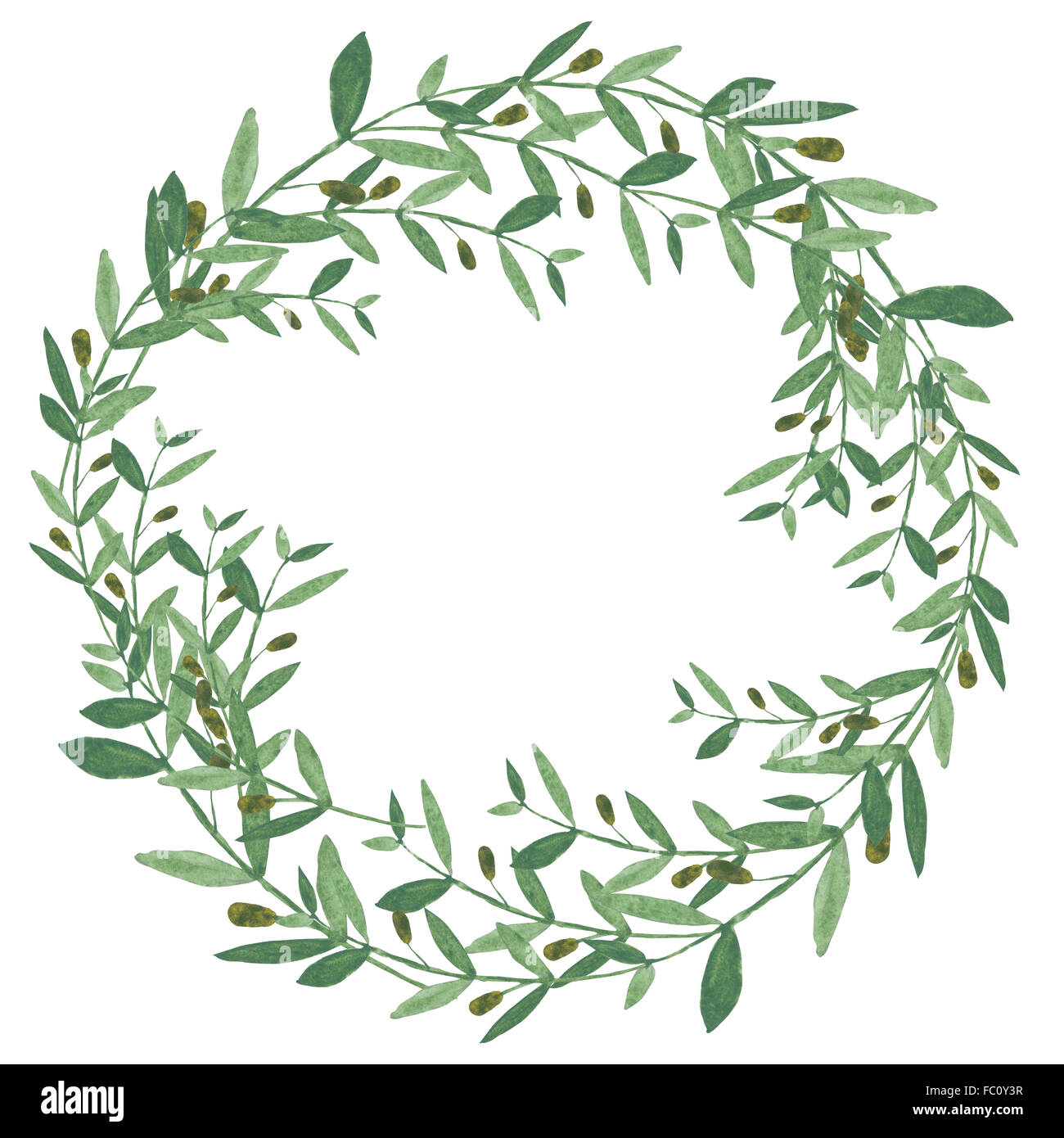 Aquarell Olive Kranz. Isolierte Darstellung auf weißem Hintergrund. Biologische und natürliche Konzept. Stockfoto