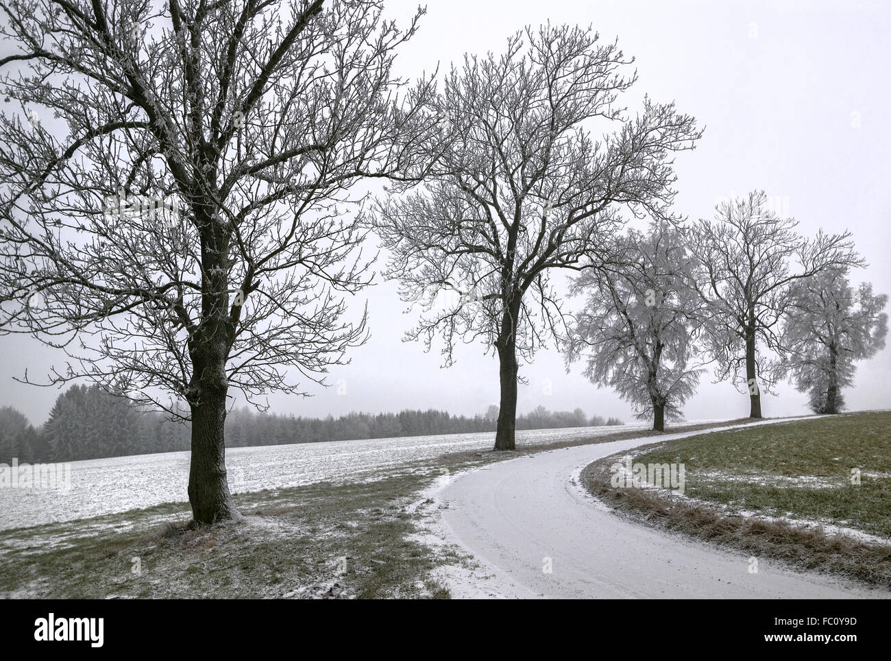 Winterlandschaft im Hof Stockfoto