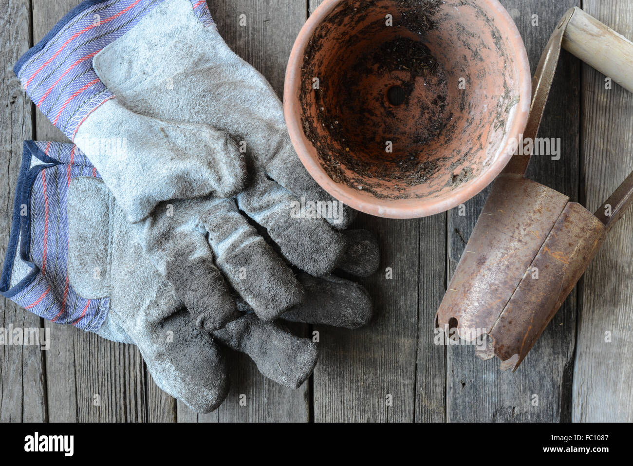 Gartenarbeit-Hintergrund für Blumen Pflanzen Stockfoto