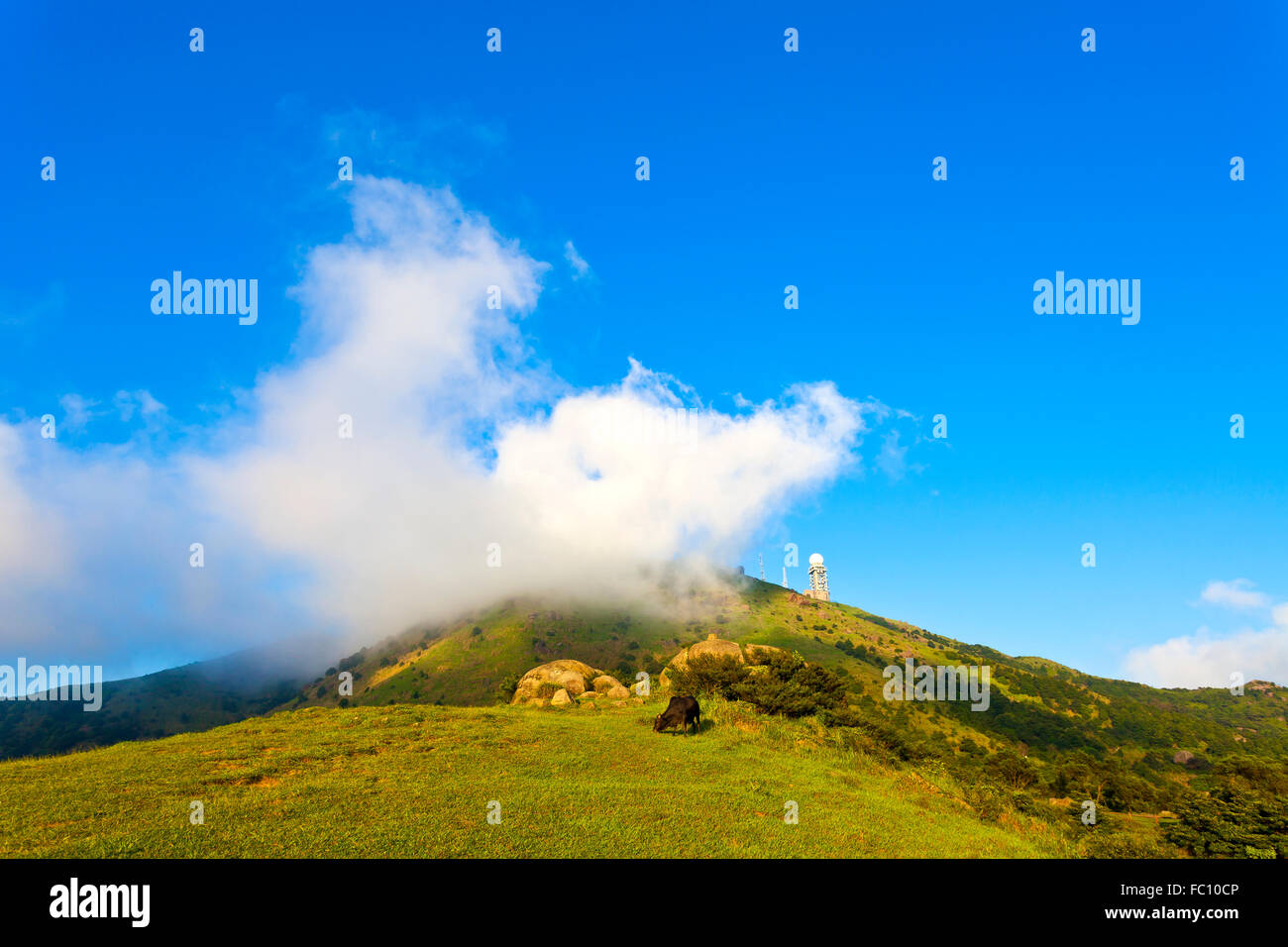 Berglandschaft in Hong Kong Stockfoto