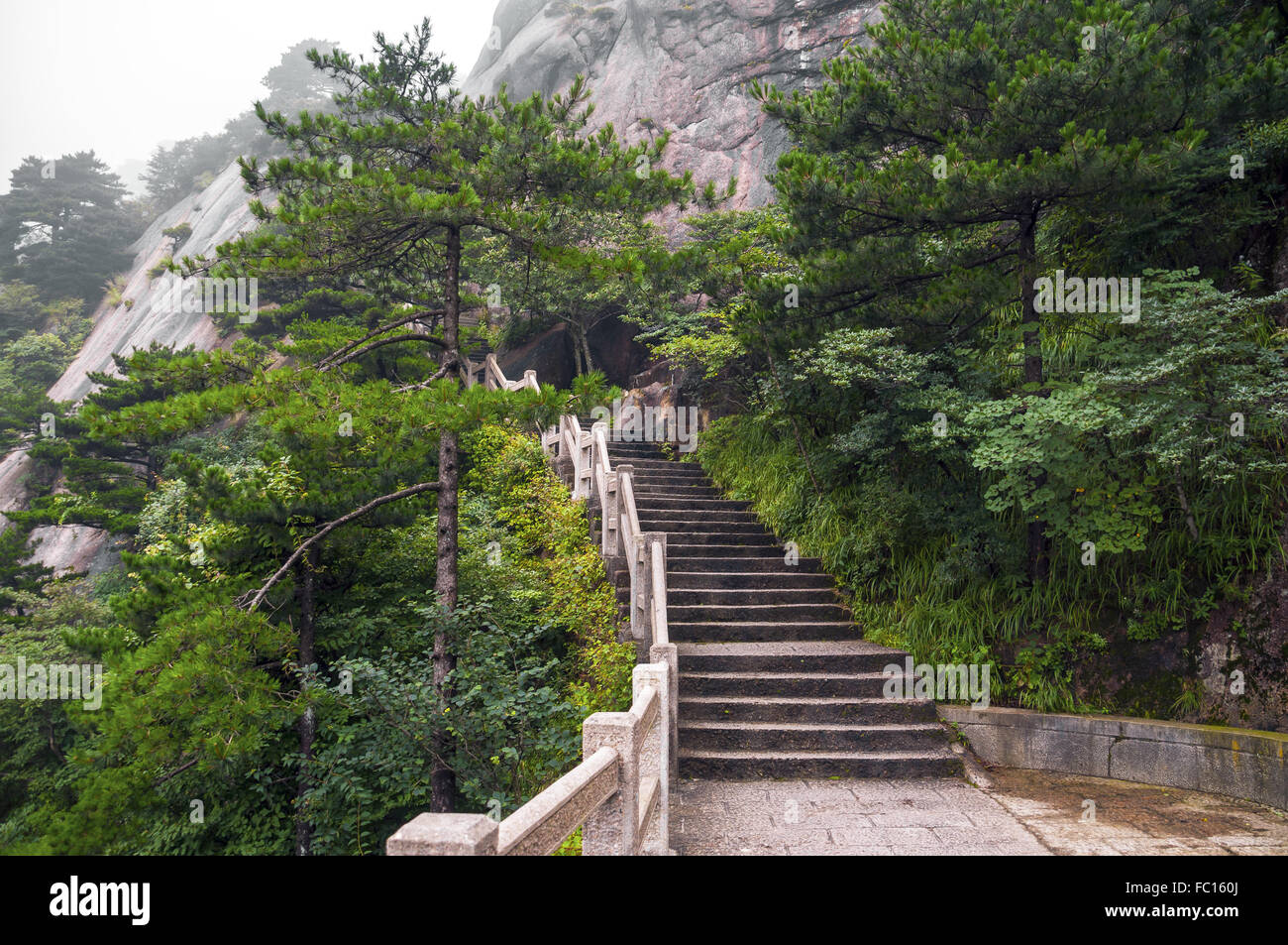 Huangshan Treppen Bergweg in Wald Stockfoto