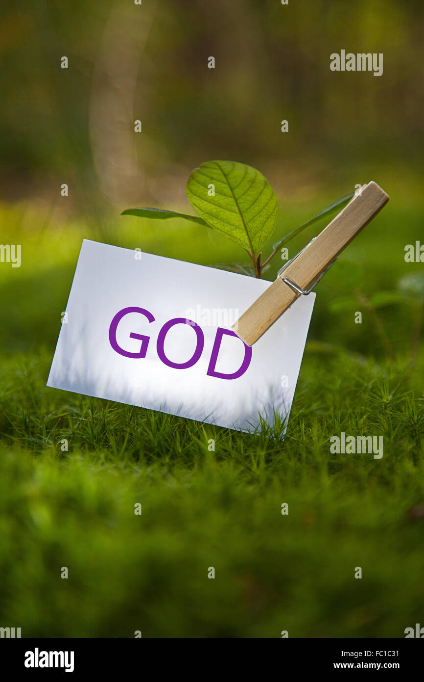 Das Wort "Gott mit einem Sämling Stockfoto