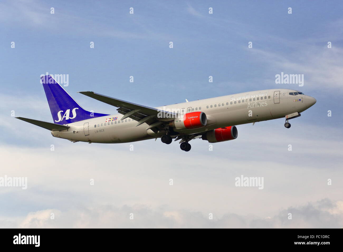 Scandinavian Airlines Boeing 737RN LN-RCX Landung in Heathrow Stockfoto