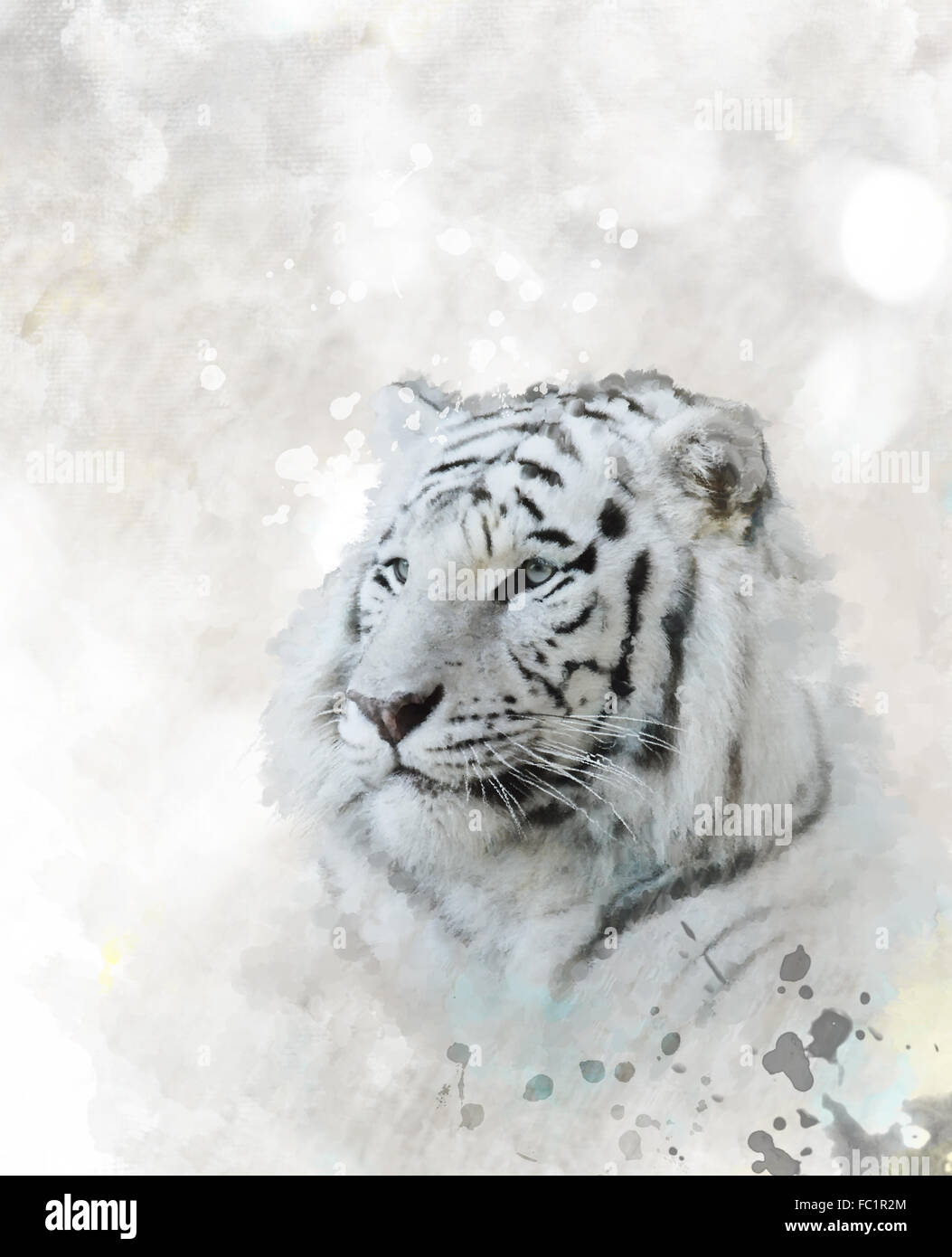 Weißer Tiger-Portrait Stockfoto