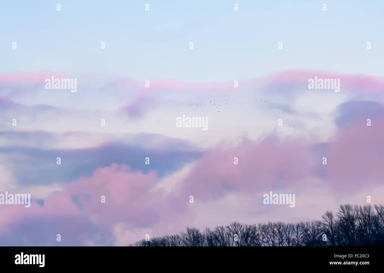 Weiche rosa Sonnenuntergang mit Wolken und fliegende Vögel Stockfoto