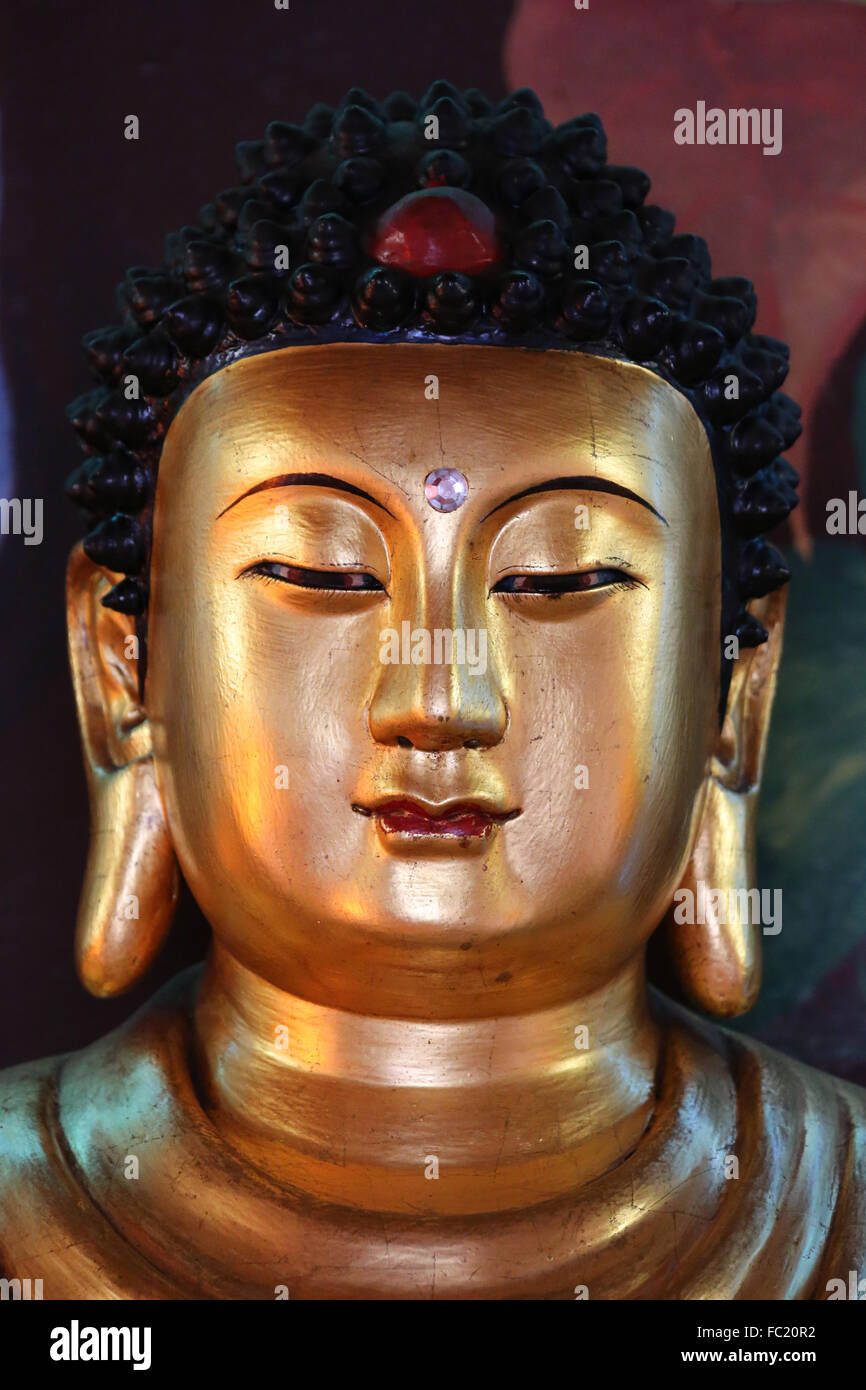 Hong Hien Tu Tempel. Buddha-Statue. Siddhartha Gautama. Stockfoto