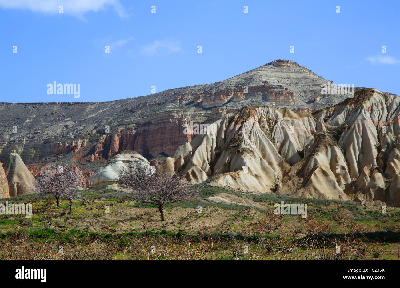 Landschaft in Kappadokien Stockfoto