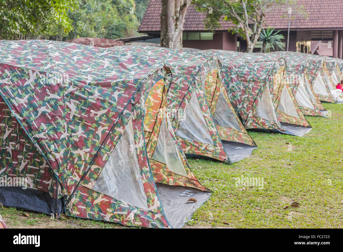 Viele Zelt auf dem Rasen im Dschungel Stockfoto