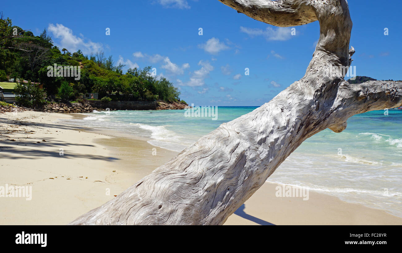 tropischer Strand Anse Boudin Praslin Insel Stockfoto