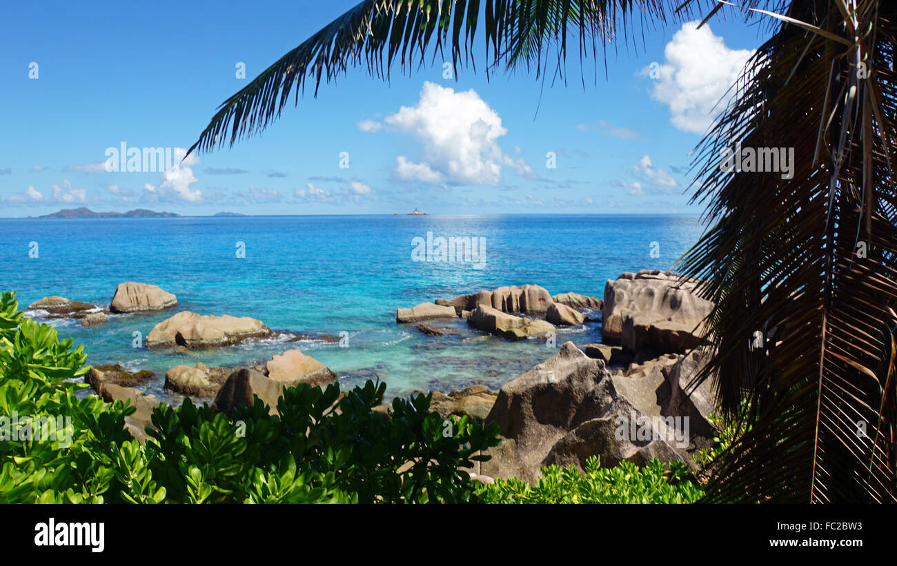 Palmen und Granitfelsen auf la digue Stockfoto