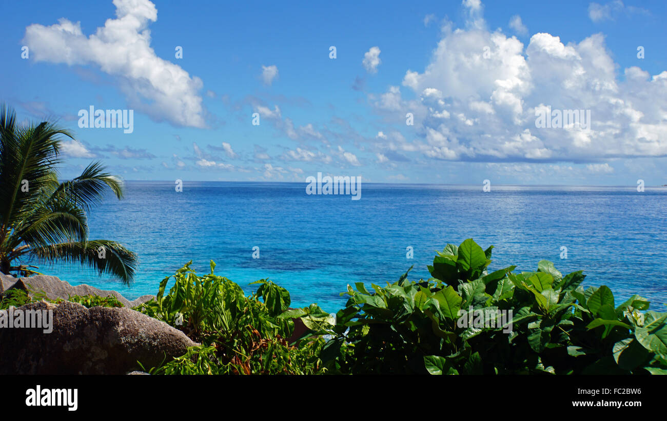 Palmen und Granitfelsen auf la digue Stockfoto