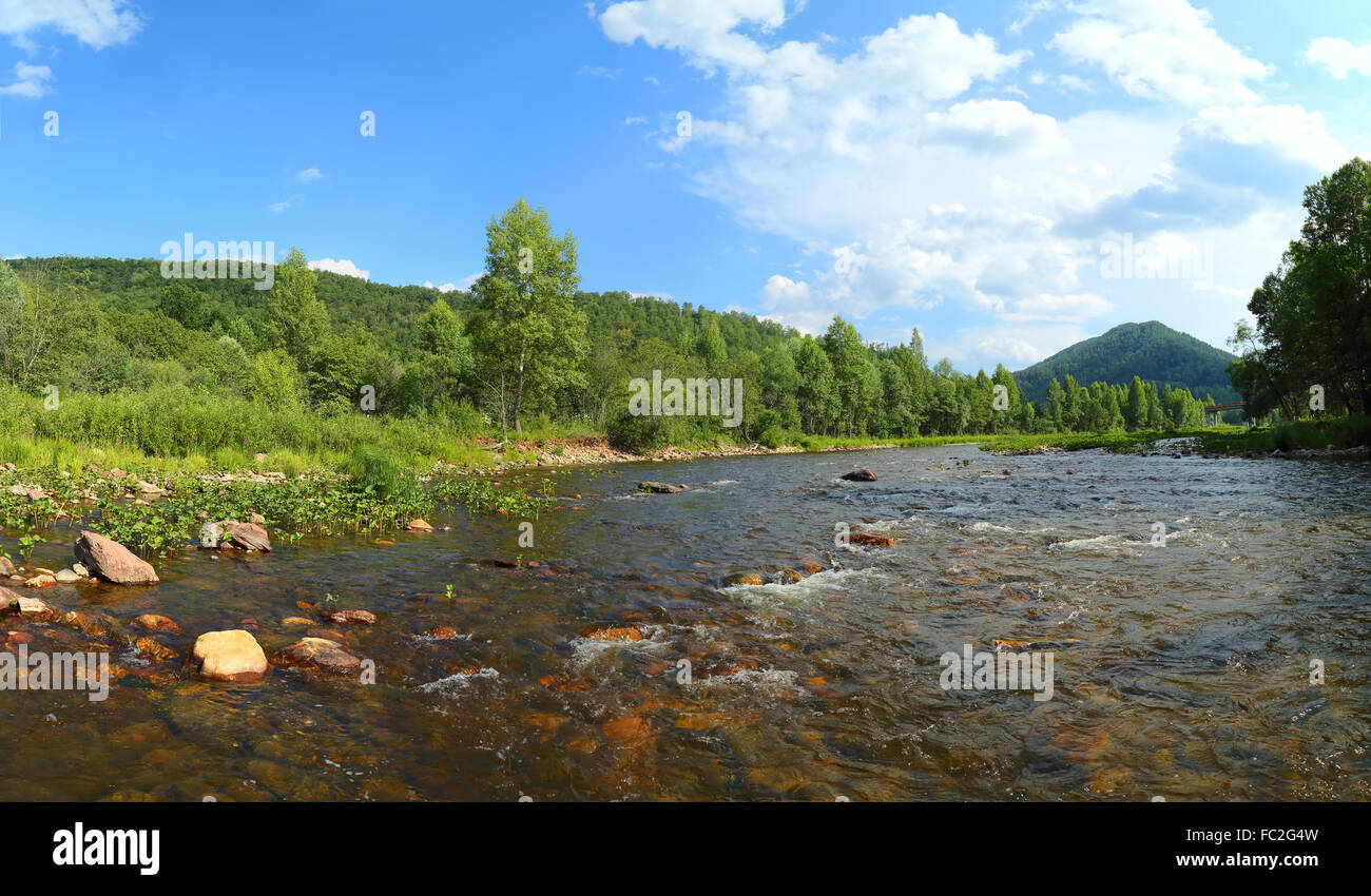 Landschaft mit Gebirgsfluss im Sommer Stockfoto