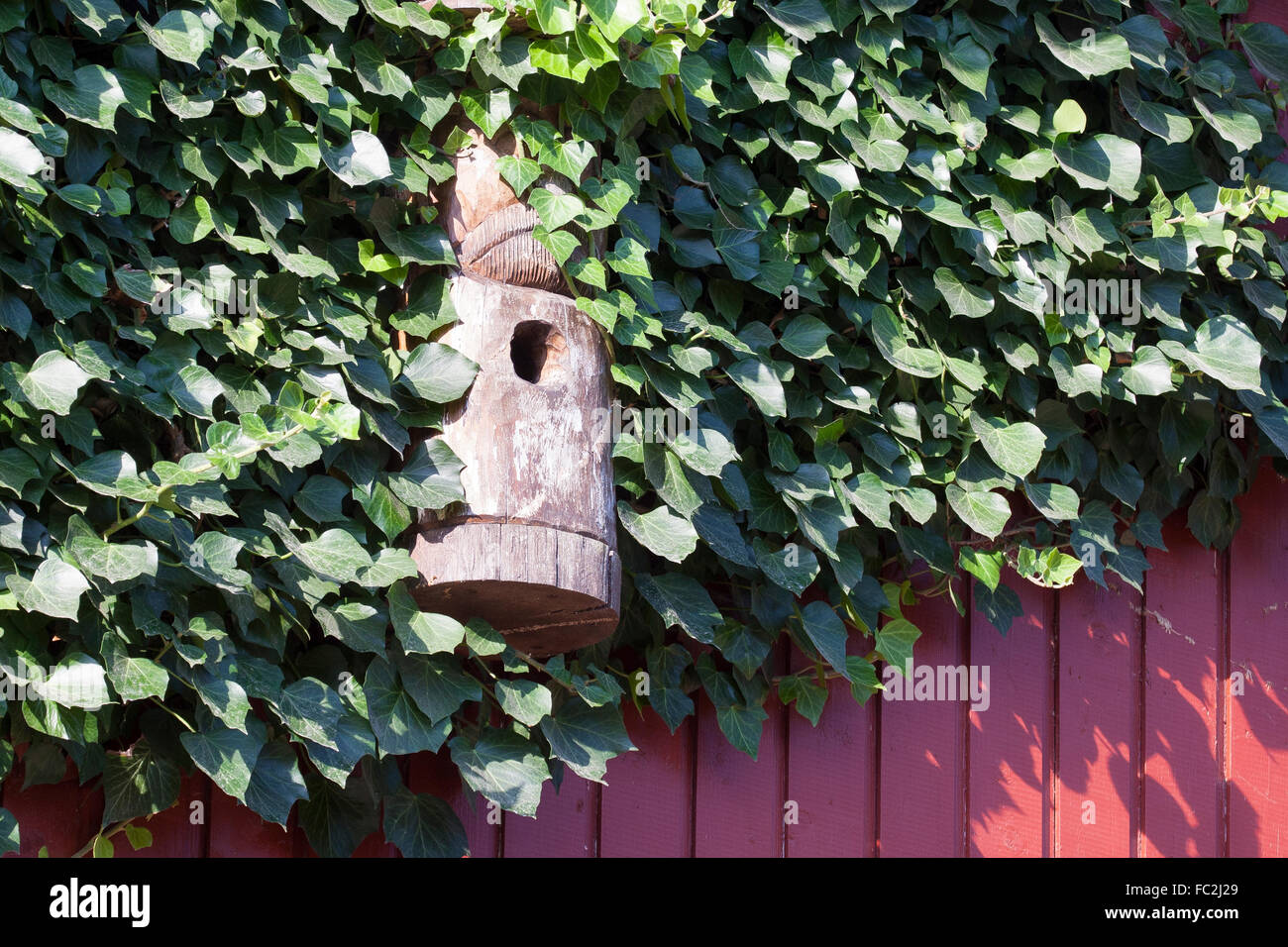 Nistkasten Sie, Vogelhaus, Nistkasten, Nistkasten, Nisthilfe, begründeten, Meisenkasten, Vogelkasten, Vogelnistkasten Stockfoto