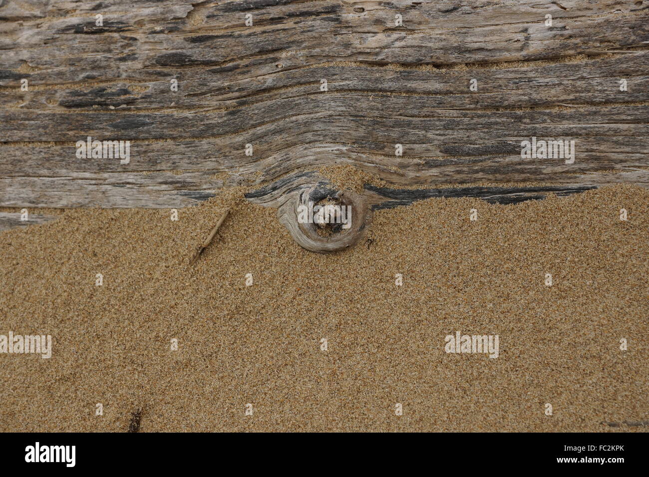 Treibholz auf Sand sieht aus wie Kuvert. Ideal für Website-header Stockfoto