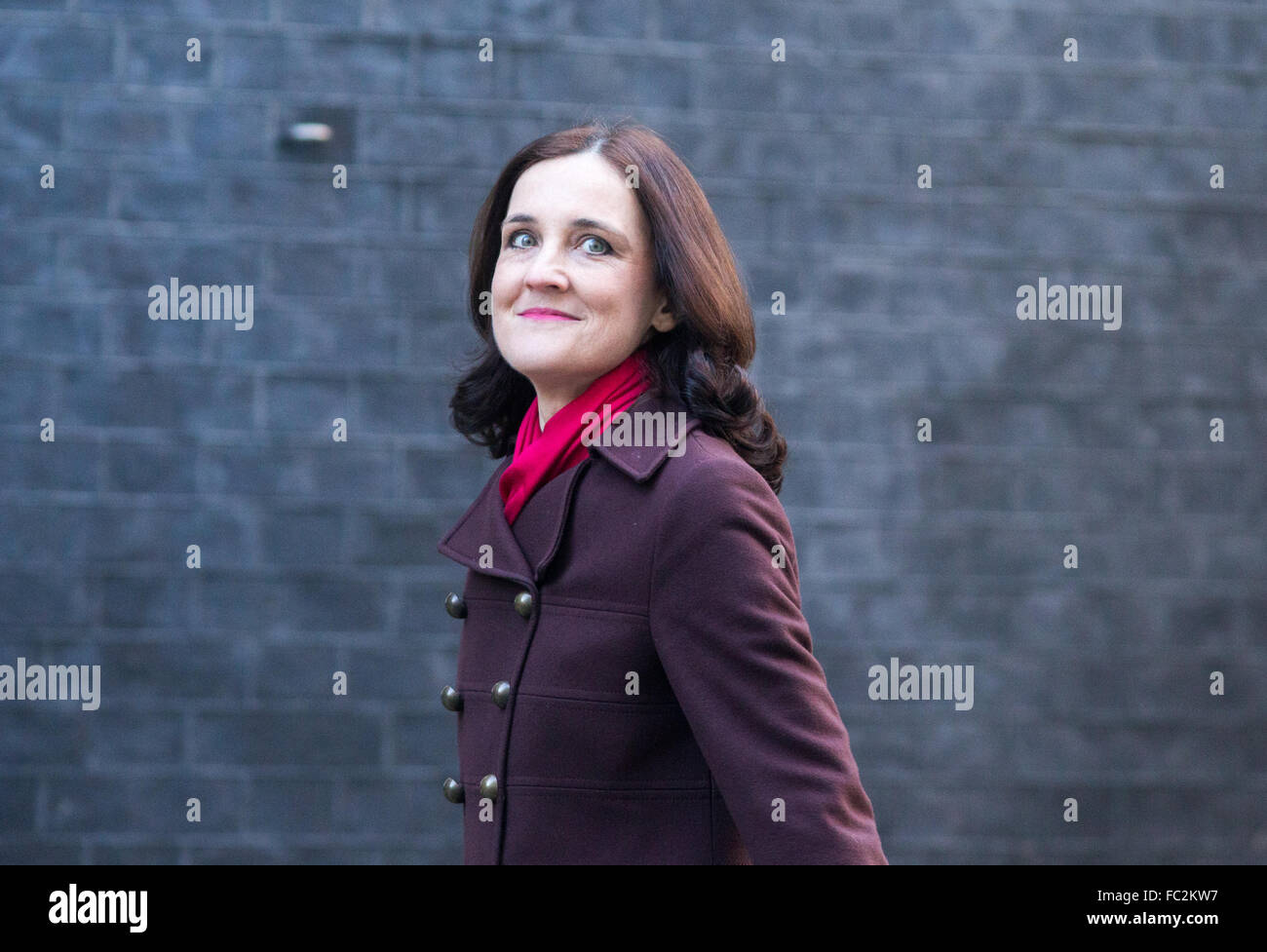 Theresa Villiers, Staatssekretär für Nordirland, kommt in der Nummer 10 Downing Street für eine Kabinettssitzung Stockfoto