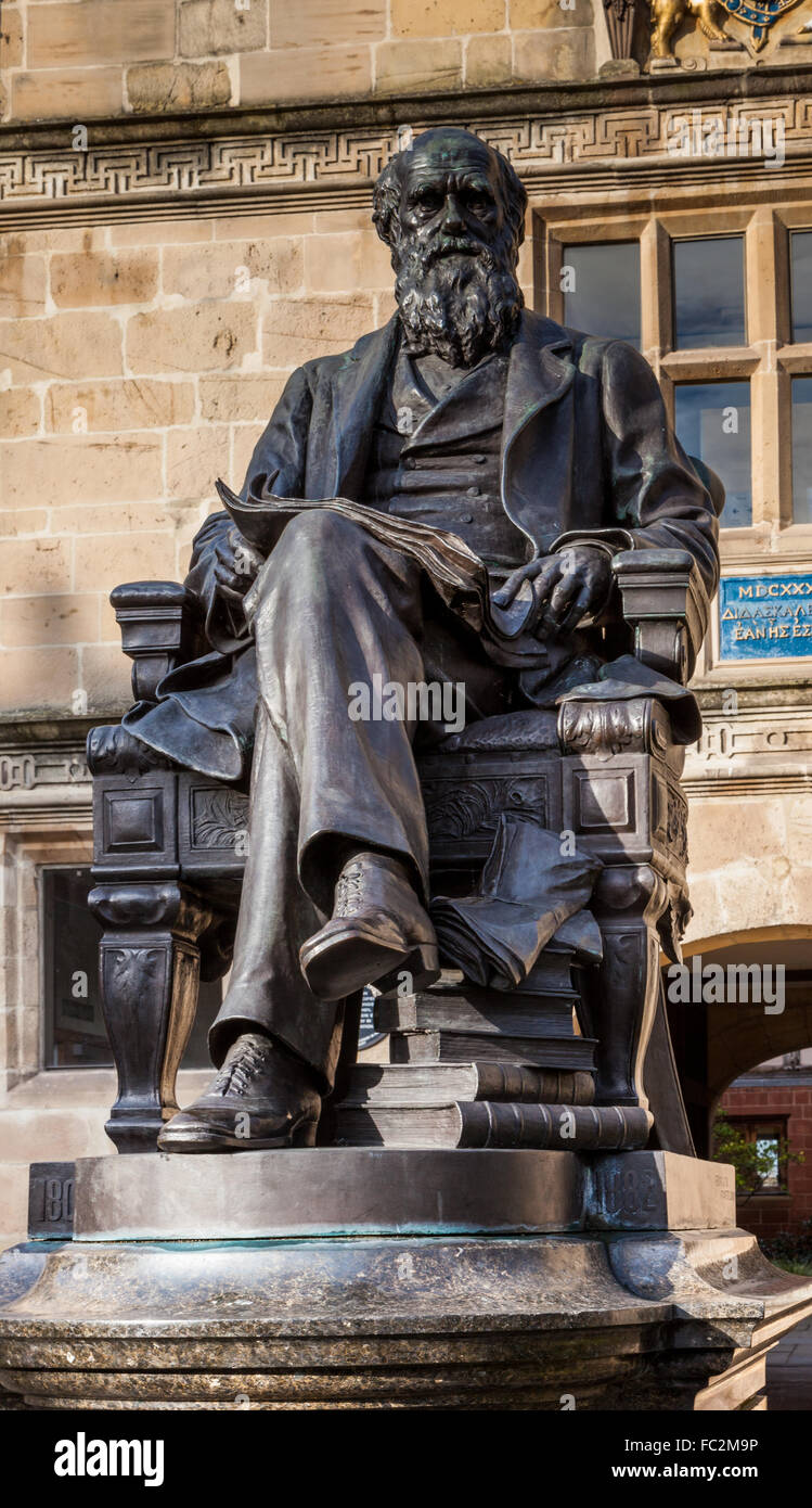 Statue von Charles Darwin, außerhalb Shrewsbury Bibliothek, Shrewsbury, Shropshire, England, Vereinigtes Königreich Stockfoto