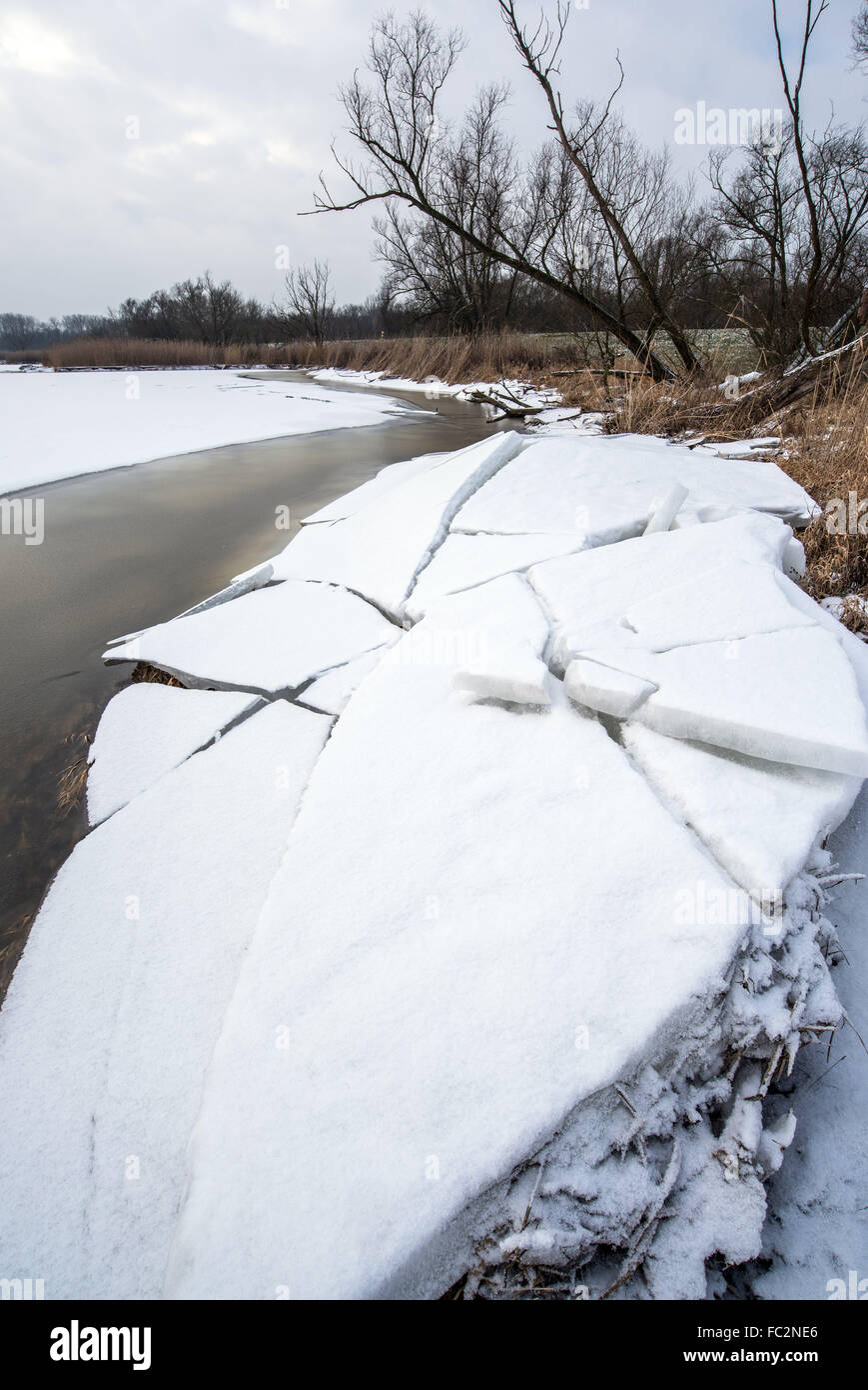 Reitwein, Deutschland. 20. Januar 2016. Eisschollen ragen aus dem Fluss Oder an der deutsch-polnischen Grenze in der Nähe von Reitwein, Deutschland, 20. Januar 2016. Das fließende Eis ist auf dem Fluss sichern. Der Eisstoß befindet sich rund 10 Kilometer nördlich von Lebus, Deutschland. Foto: PATRICK PLEUL/Dpa/Alamy Live News Stockfoto