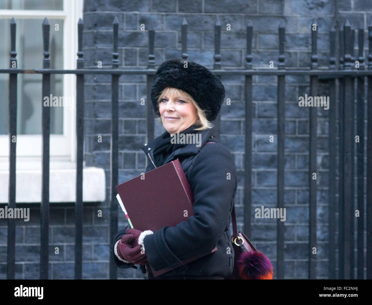 Anna Soubry, Minister für kleine Unternehmen, Industrie und Unternehmen, kommt an Nummer 10 Downing Street nach einer Kabinettssitzung Stockfoto