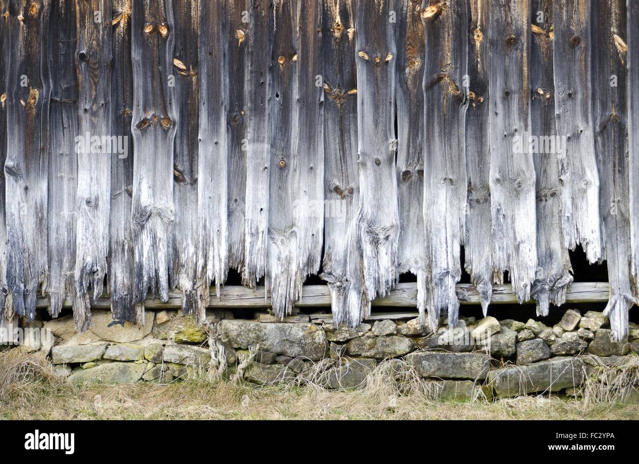 verwitterter Holzwand mit verrotteten Planken Stockfoto