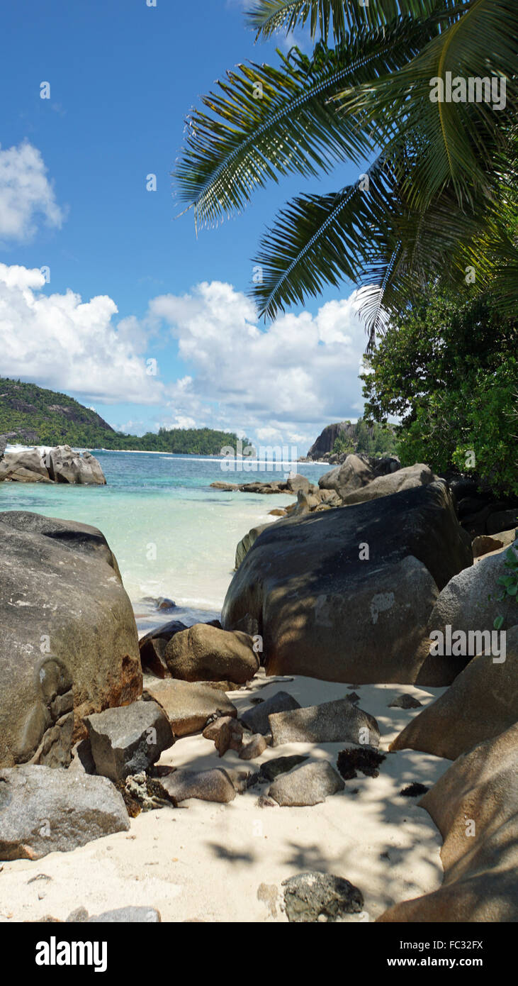 Granitfelsen und Palmen auf der Insel Mahé Stockfoto