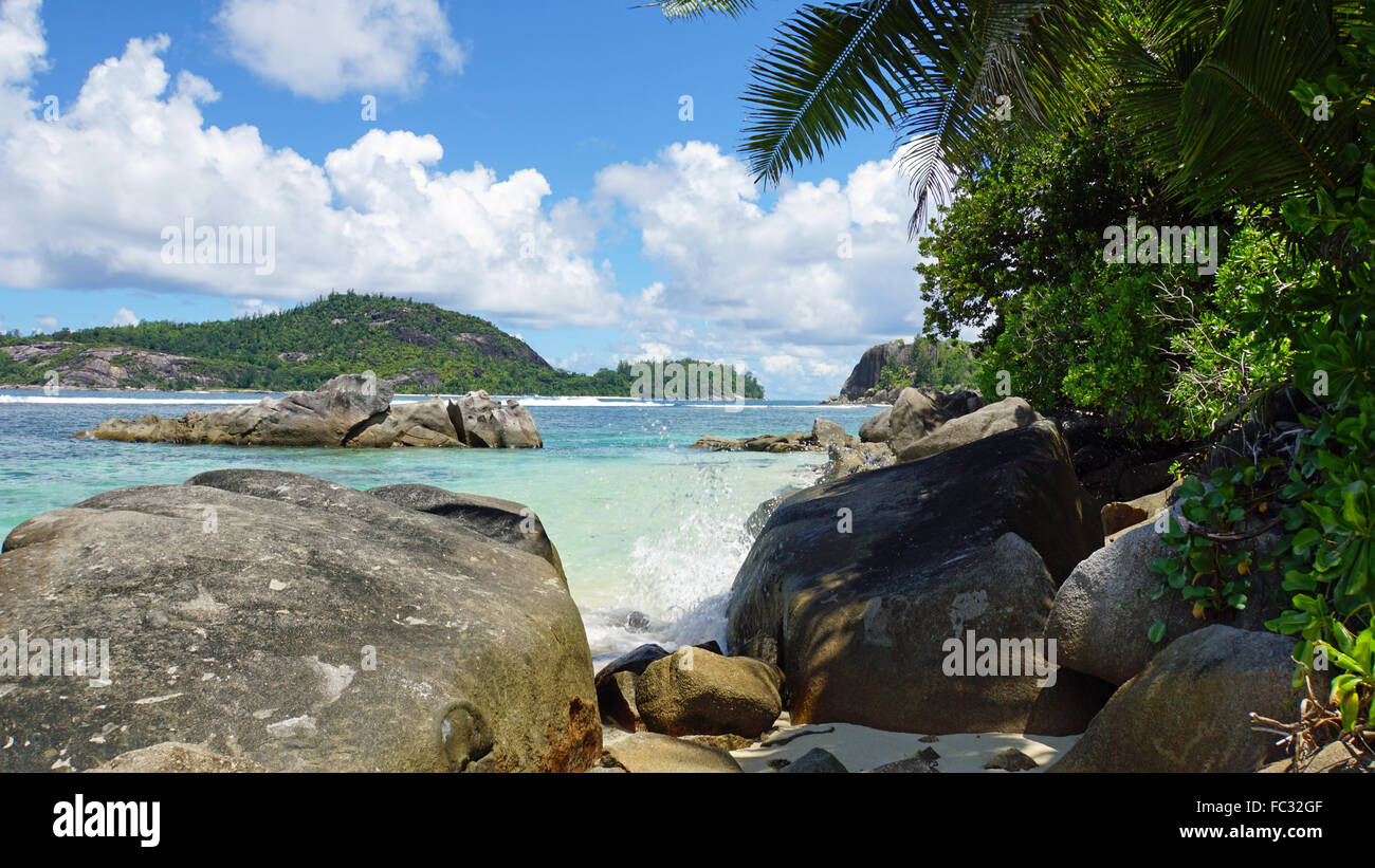 Granitfelsen und Palmen auf der Insel Mahé Stockfoto