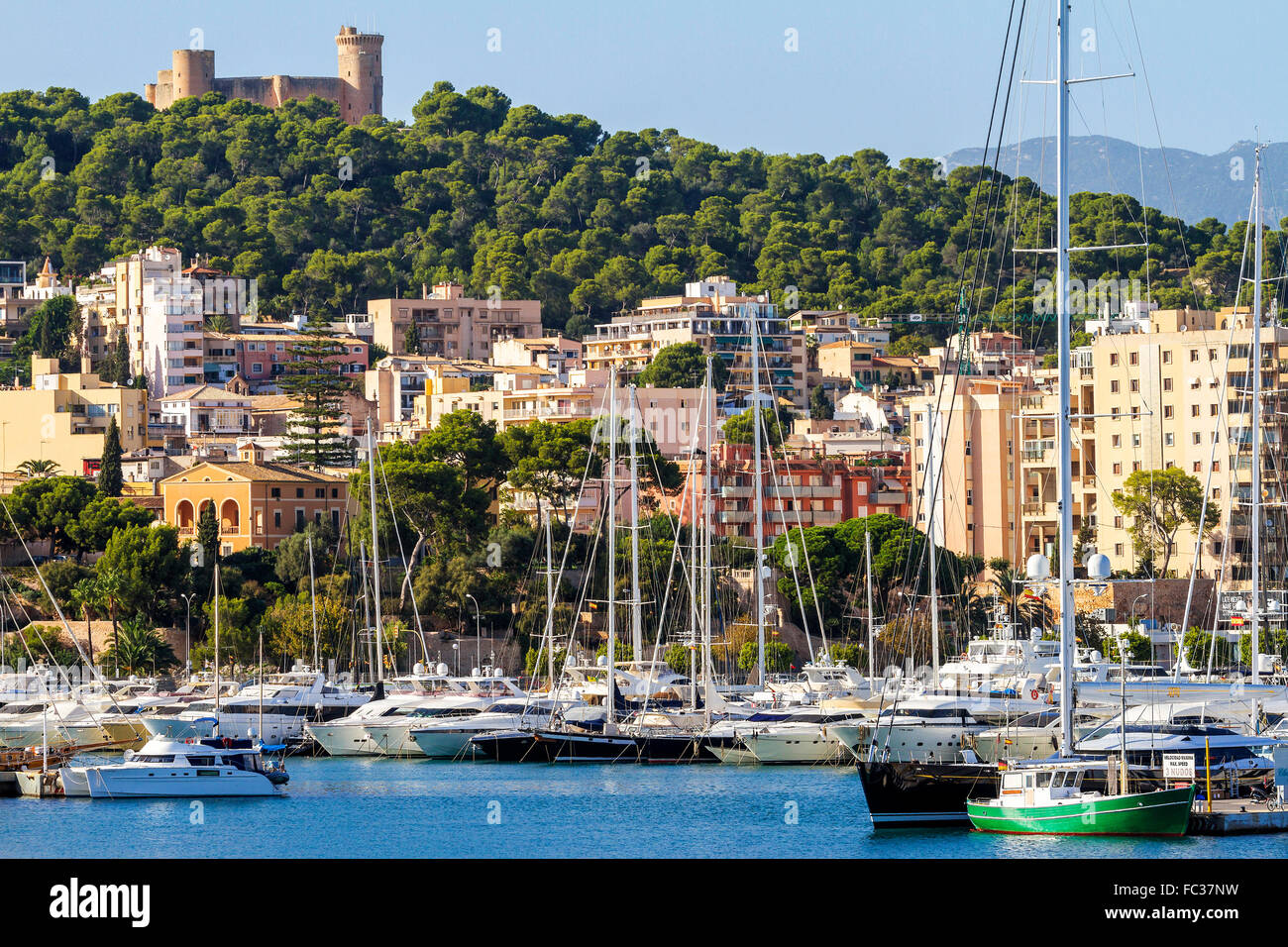 Yachten im Hafen Palma Mallorca Spanien Stockfoto