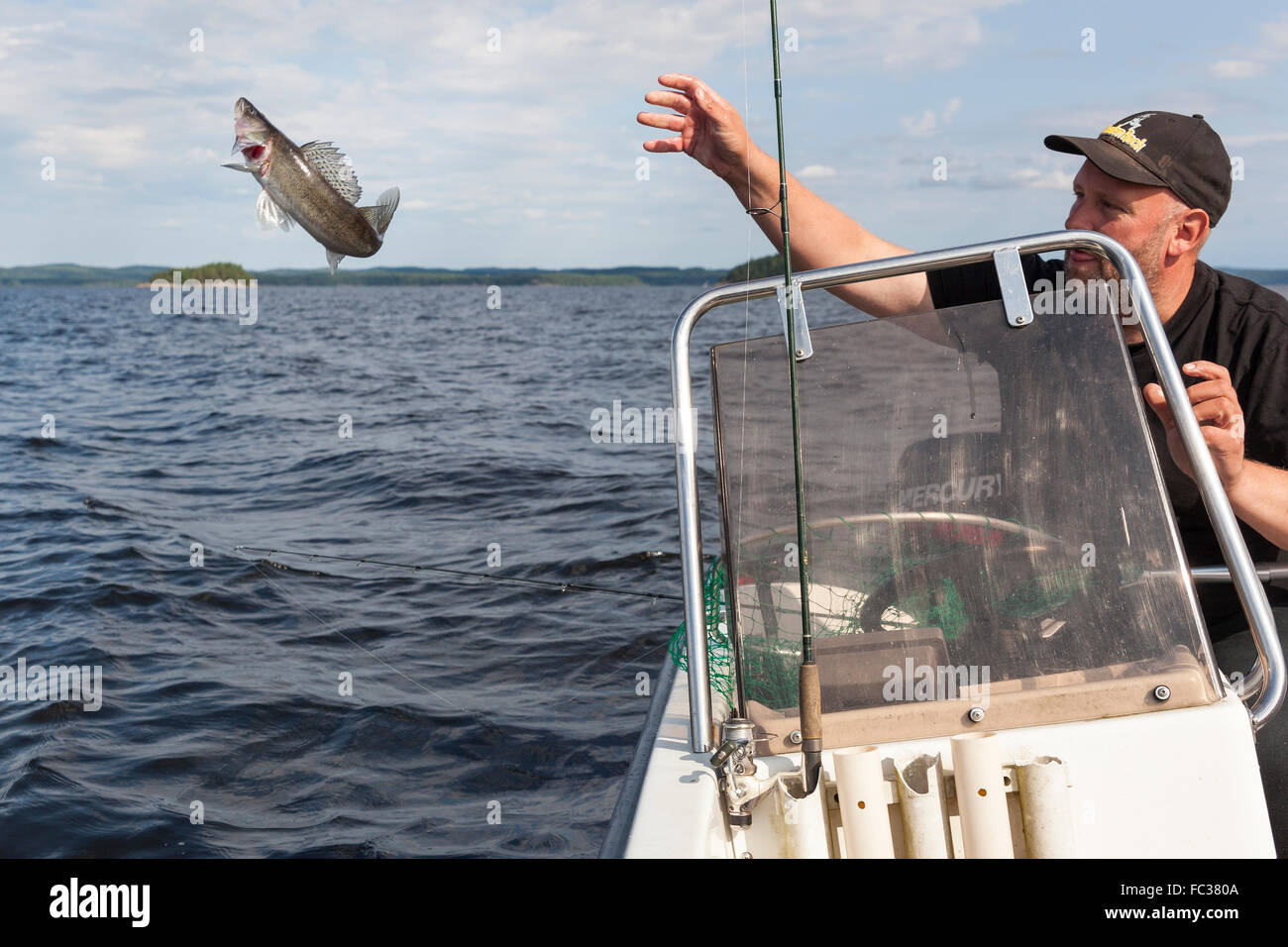 Catch and Release Angeln, Fische zurück ins Wasser geworfen wird. Model Release: Ja. Property Release: Nein. Stockfoto