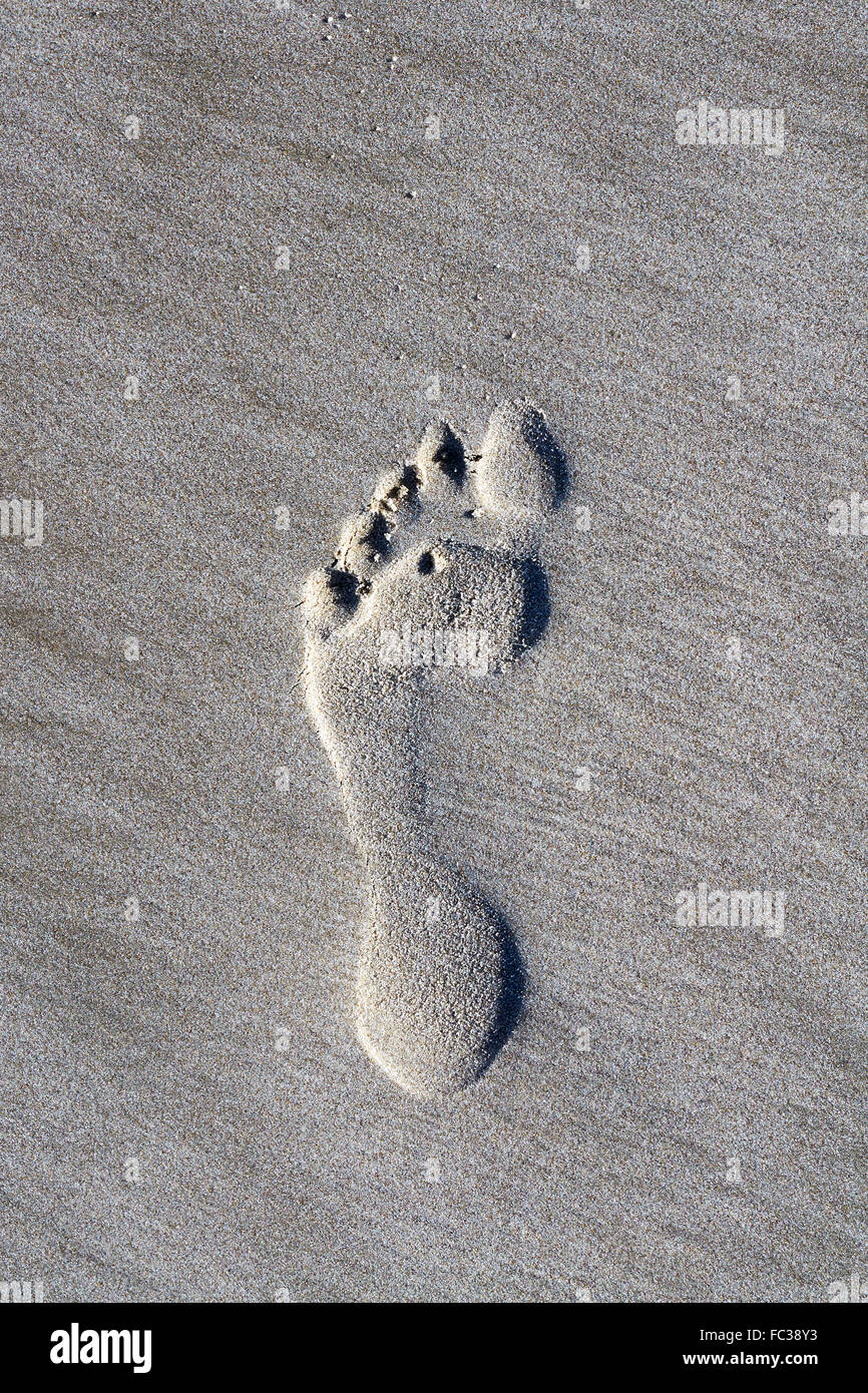 Fußabdruck im Sand Stockfoto