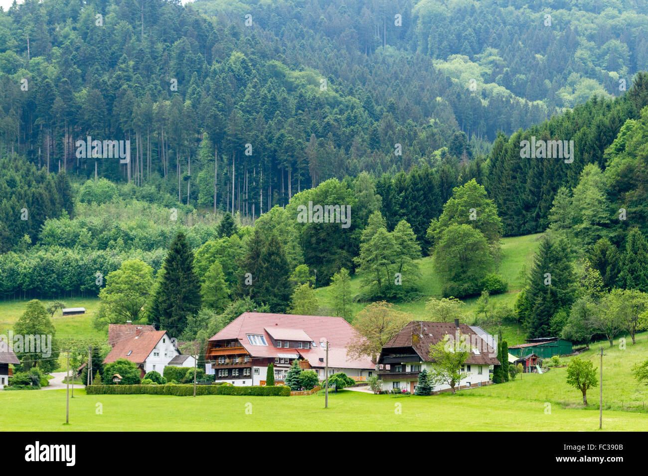 gutachtal-valley-stockfotos-und-bilder-kaufen-alamy