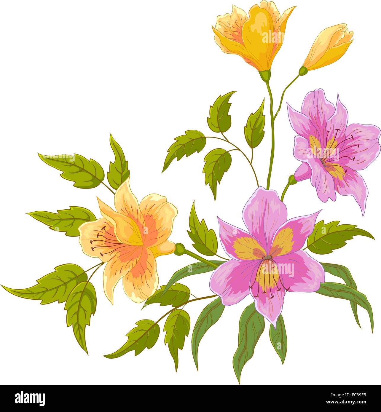 Blume alstroemeria Stock Vektor
