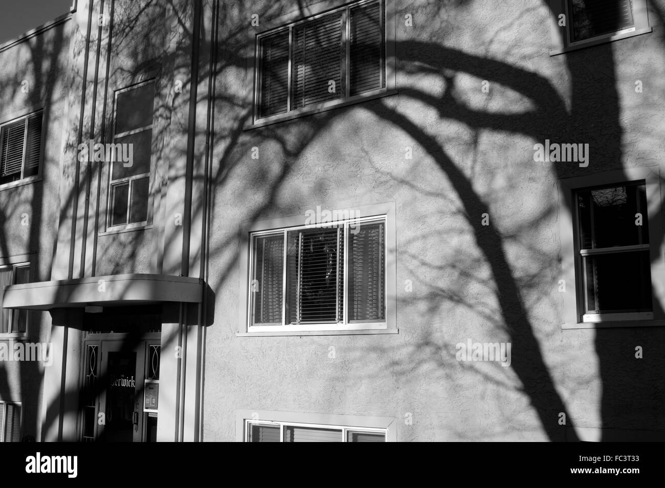 Baum Schatten droht an der Fassade eines Mehrfamilienhauses Stockfoto
