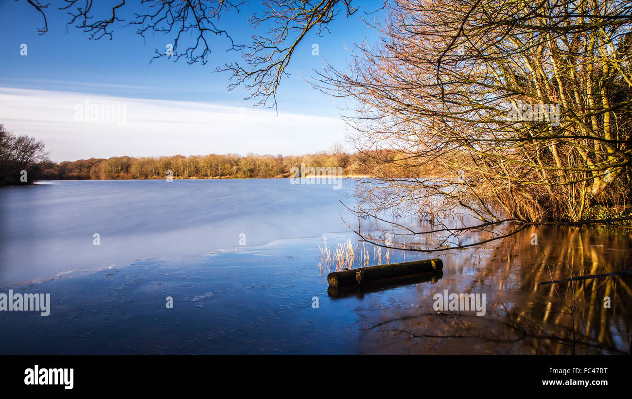 Ein sonniger Wintertag auf Coate Wasser in Swindon. Stockfoto