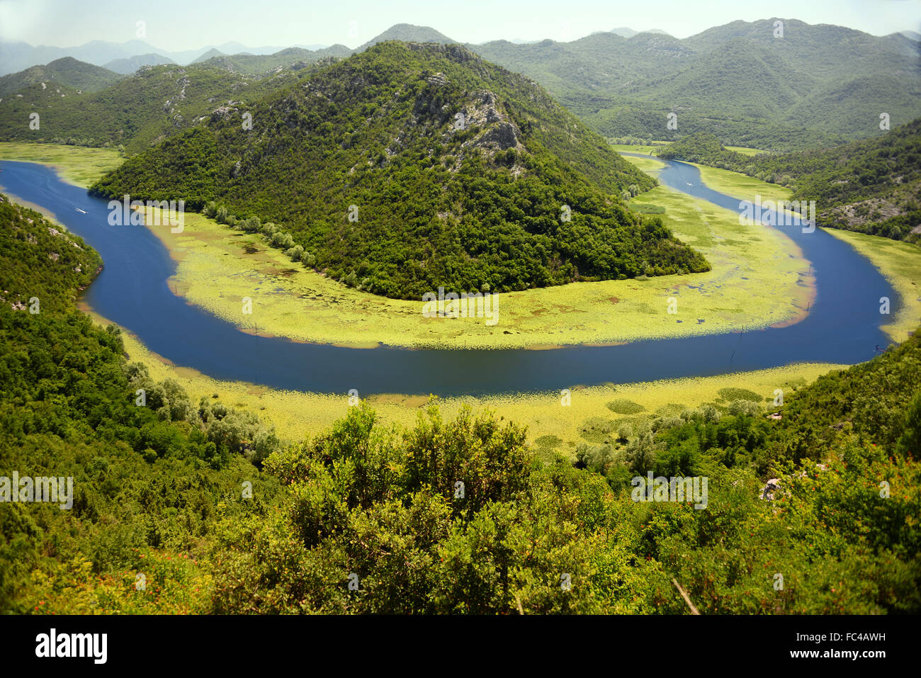 Skadarsko Jezero, Montenegro, der größte See auf dem Balkan Stockfoto