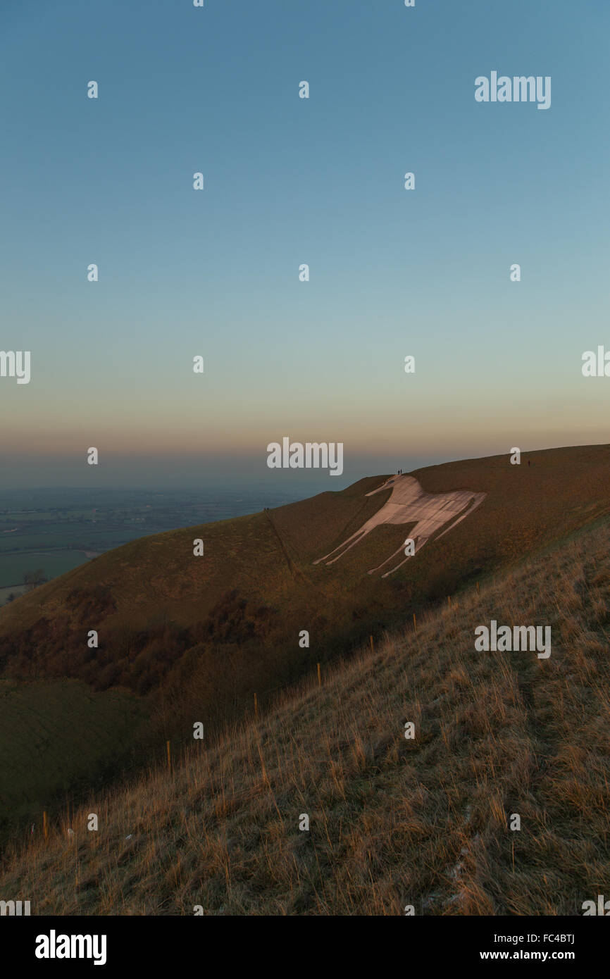 Bratton, Wiltshire, UK. 20. Januar 2016. Der ältesten Chalk White Horse in Wiltshire wurde heute Abend in das orange Licht der untergehenden Sonne getaucht, als Temperaturen begann noch einmal unter Null sinken. Ein paar versucht, schieben Sie den riesigen Kopf des Pferdes, ein Selbstporträt auf seine "Nase. Bildnachweis: Wayne Farrell/Alamy Live-Nachrichten Stockfoto