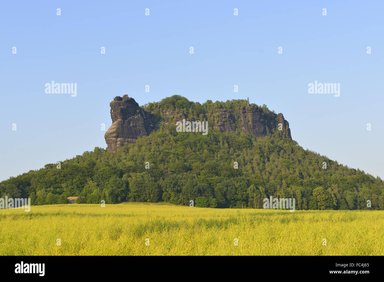 Lilienstein Stockfoto