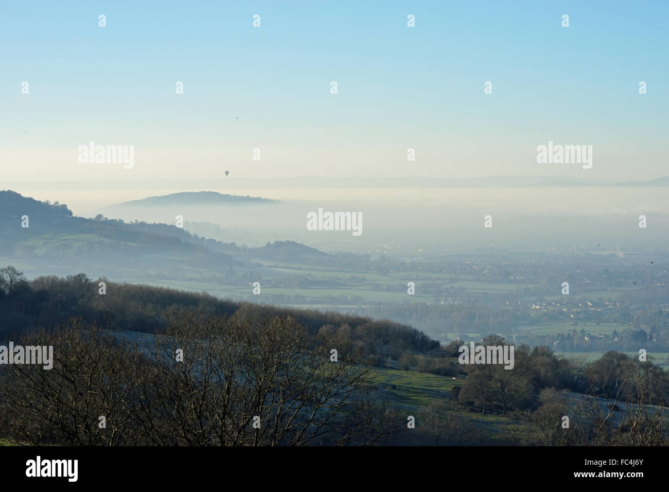 Botanik englischen Landschaftsgartens Eisblumen Winter Makro Stock Fotografie Stockfoto