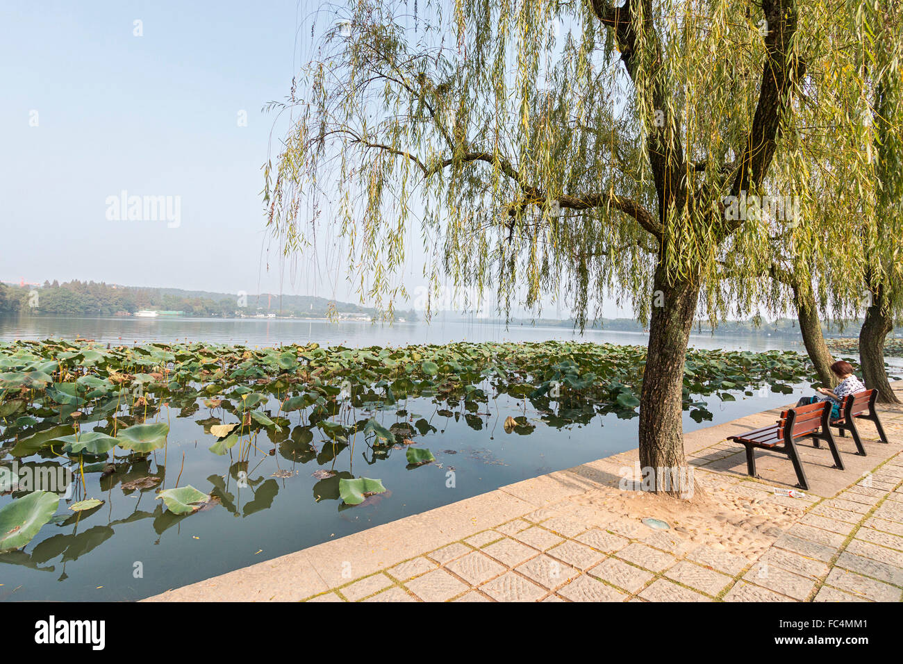 Frau genießt Blick auf West Lake und Seerosen in Hangzhou, China Stockfoto
